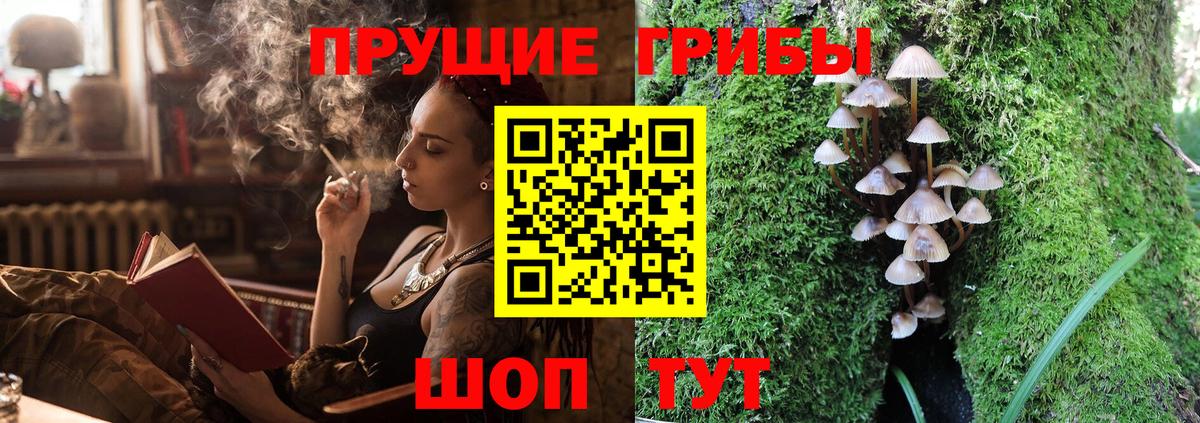 Кандалакша  Псилоцибиновые грибы Psilocybe  Вход с VPN  Псилоцибиновые грибы Cubensis 